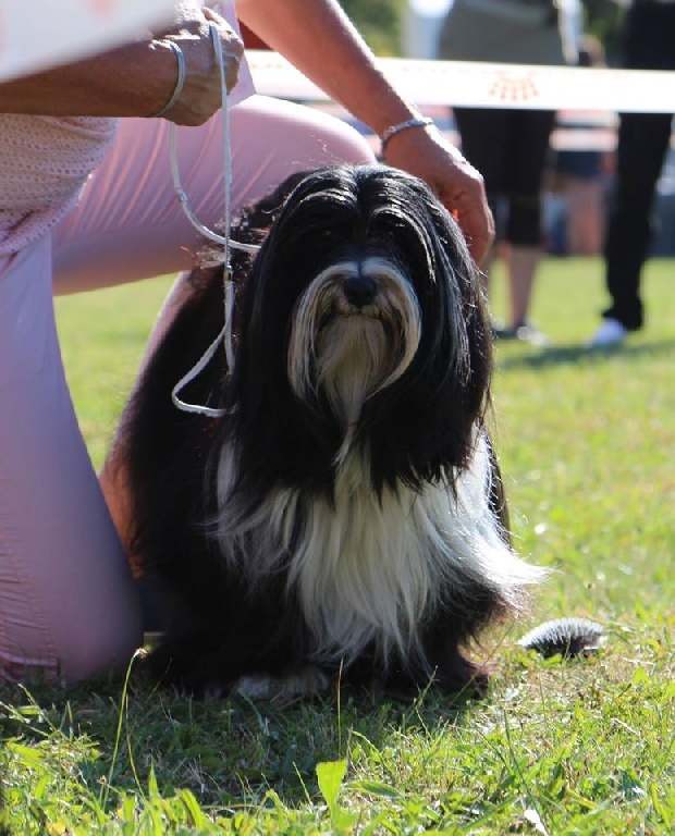 Per Chang Pa - TOP CHIENS 2014 EUKANUBA